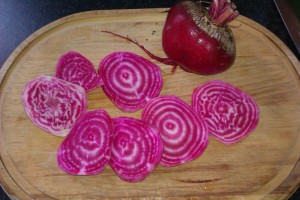 Stripy beetroot from Almondsbury Allotments, Bristol
